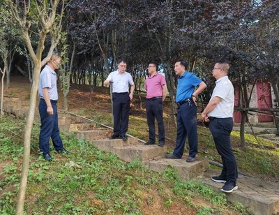 省林業(yè)局副局長傅強(qiáng)一行赴施秉縣指導(dǎo)國儲林及林下經(jīng)濟(jì)建設(shè)與林業(yè)產(chǎn)品銷售工作