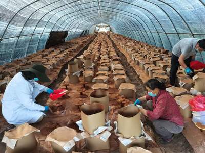 喜迎二十大 電子產(chǎn)品銷售行業(yè)的新機(jī)遇與未來展望