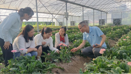 泉州洛江區科特派行動周報 林業產品銷售專題