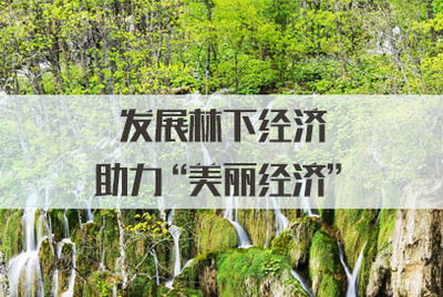 發展林下經濟，拓展銷售渠道，讓‘美麗經濟’更富生機