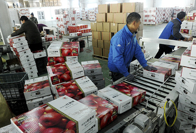 打通產(chǎn)銷(xiāo)“最后一公里” 國(guó)家林草局多措并舉破解林產(chǎn)品銷(xiāo)售難題