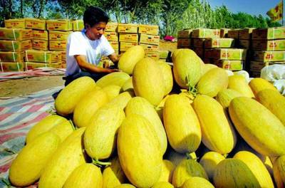 援疆風(fēng)采 步步高援疆行，架起湘吐共富橋