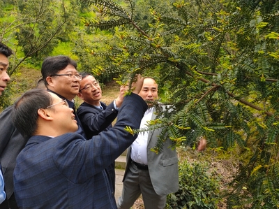 林下經(jīng)濟(jì)與電子銷(xiāo)售 胡俠局長(zhǎng)紹調(diào)研探索產(chǎn)業(yè)融合新路徑