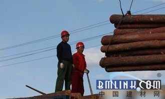 跨界突圍 黑龍江林業(yè)局以電子產(chǎn)品銷(xiāo)售開(kāi)辟木材市場(chǎng)新路徑